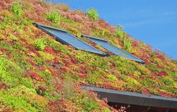Herne Common living roof systems